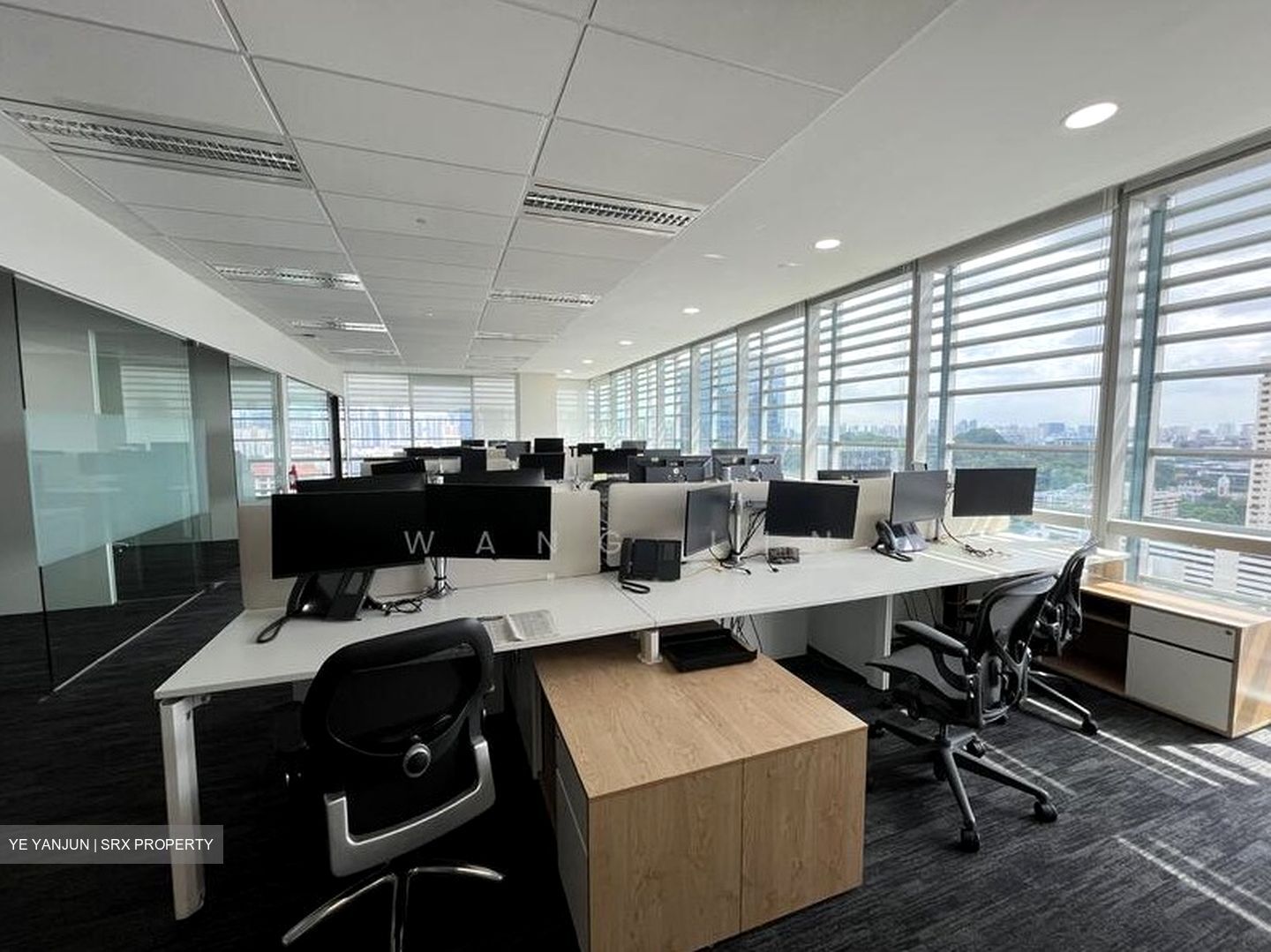 ONE GEORGE STREET (D1), Office #561186921